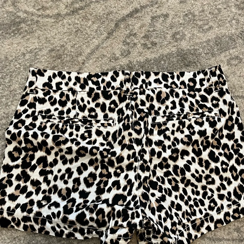 Leopard shorts - Picture 3 of 3